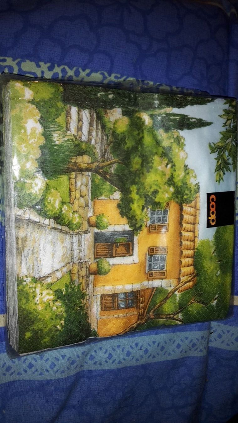 Servietten: 20 Servietten Haus B8 – Neu und originalverpackt aus Schwarzenburg von Flamingo07