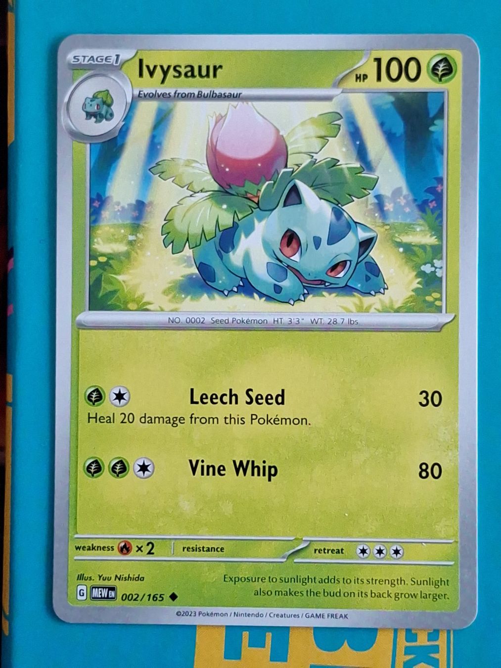 Pokémon Carte collezionabili: Ivysaur Bisaknosp - Pokemon Mew 151 – Usato da Altstätten SG venduto da GGsGameshop