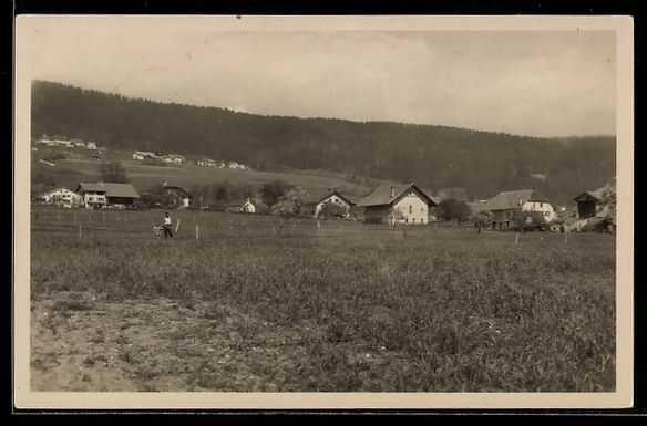 Cartoline postali: La Jonchère /Val de Ruz, Village, Panor – Usato da Berlin venduto da bartko-reher