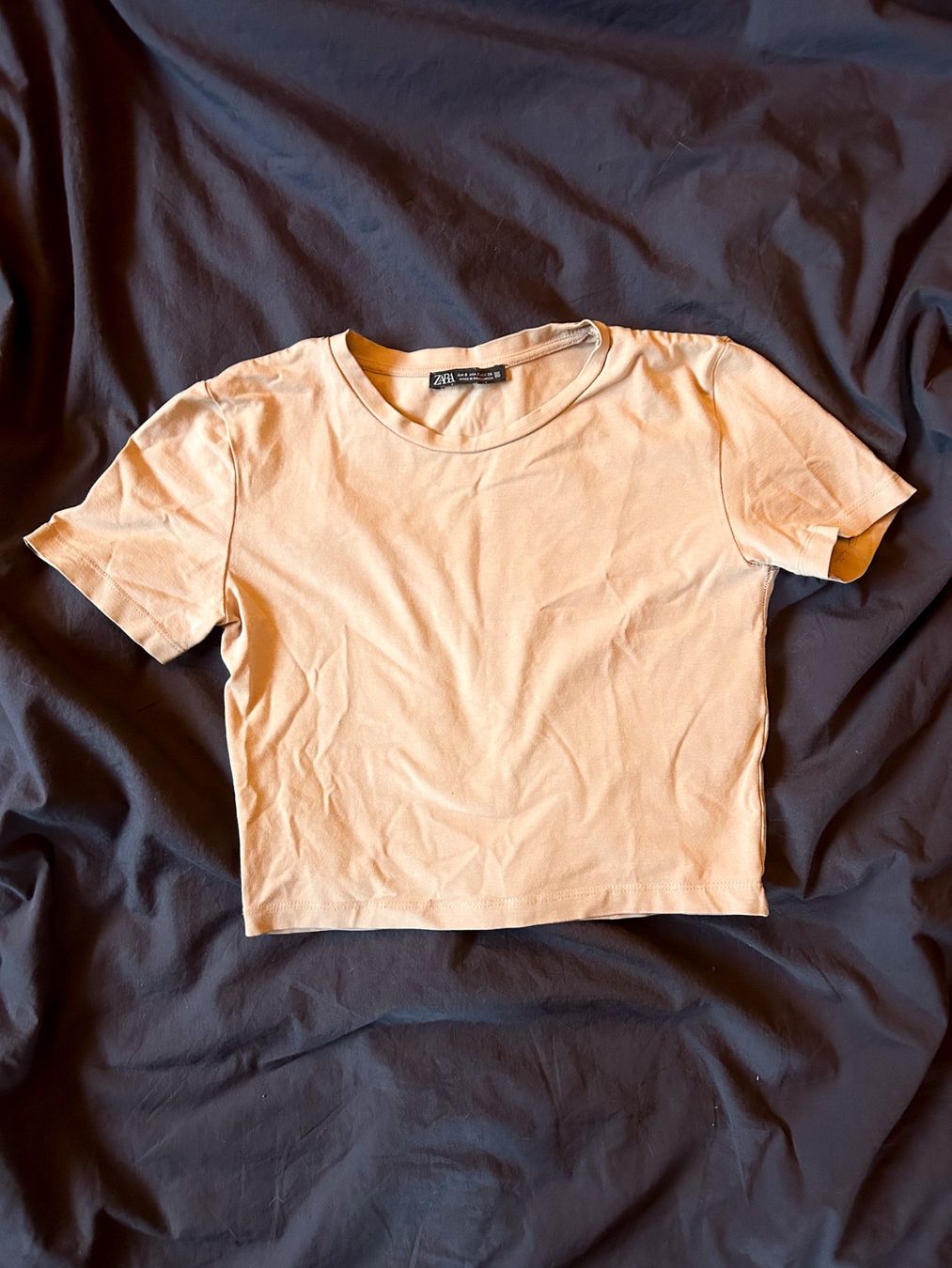 Zara Top: ZARA Basic Shirt – Usato da Oberurnen venduto da carinalobnig