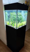 Aquarium Komplettsets - Einzelstück 168cm / 160l