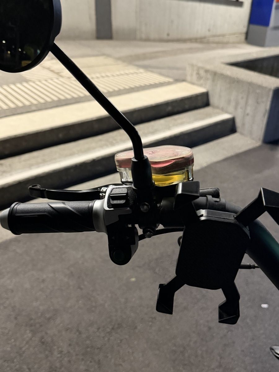Altro: E- Motorrad  – Usato da Jenins venduto da har_2p99 6
