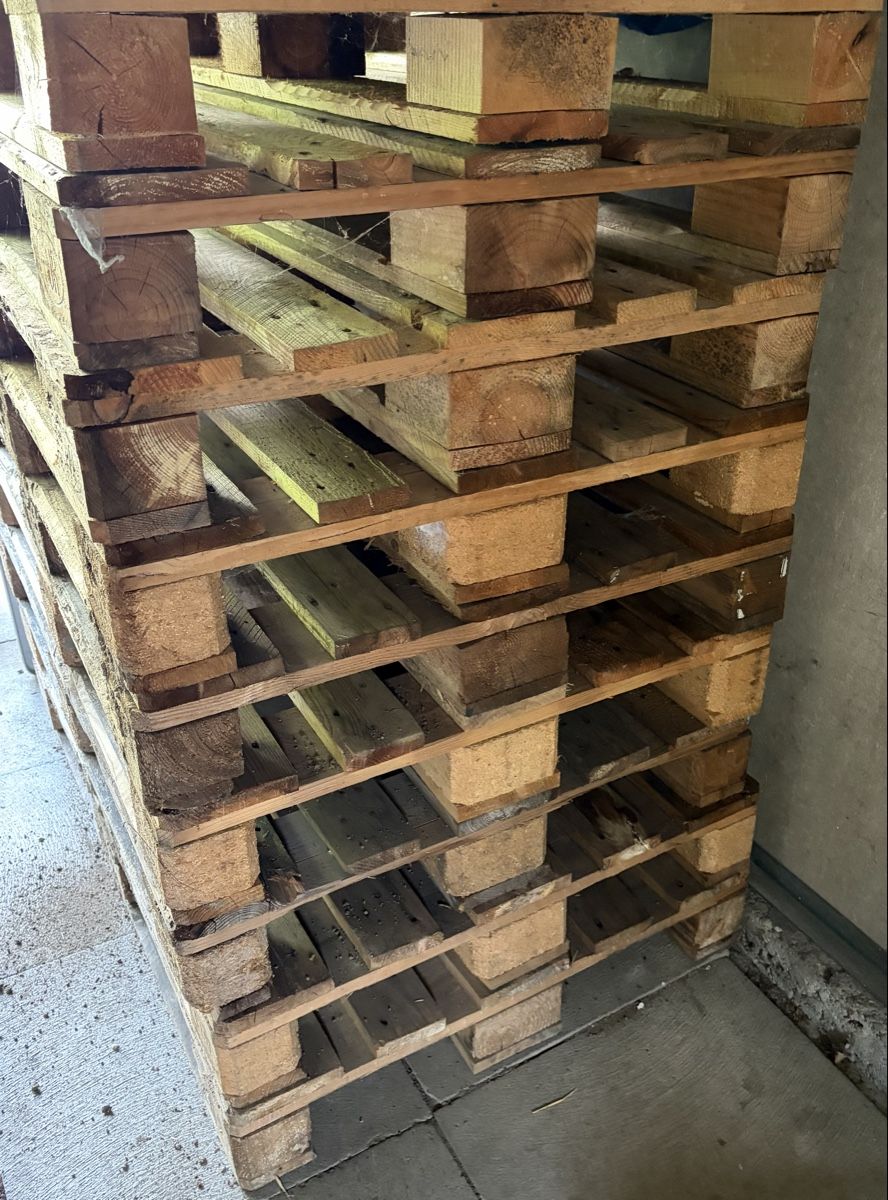 Pallets: Europaletten – Usato da Brugg AG venduto da starmaus