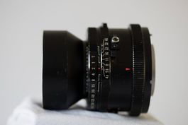 Mamiya Sekor C 180mm f4.5 (zu RB67)