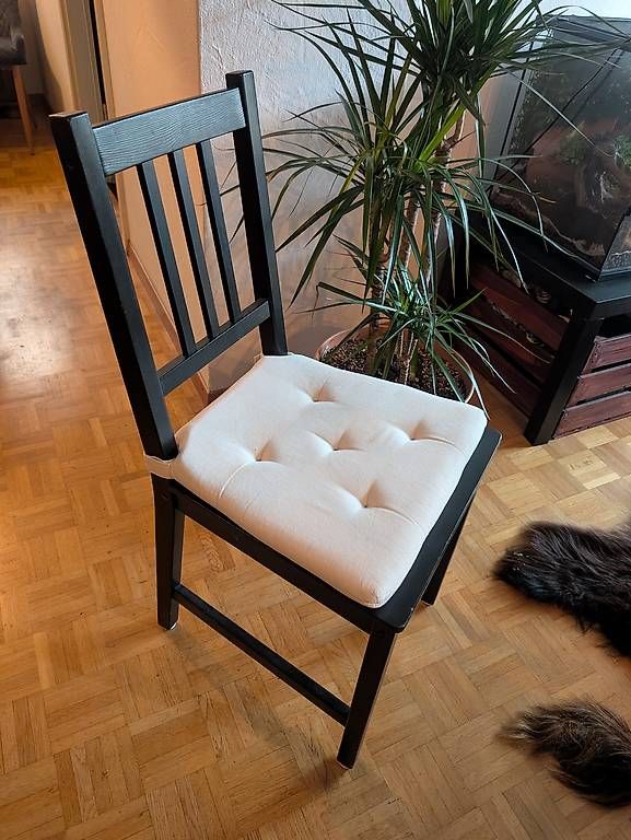 Chaises: Esszimmerstühle  – D'occasion à Zürich par nel_9pcc 2