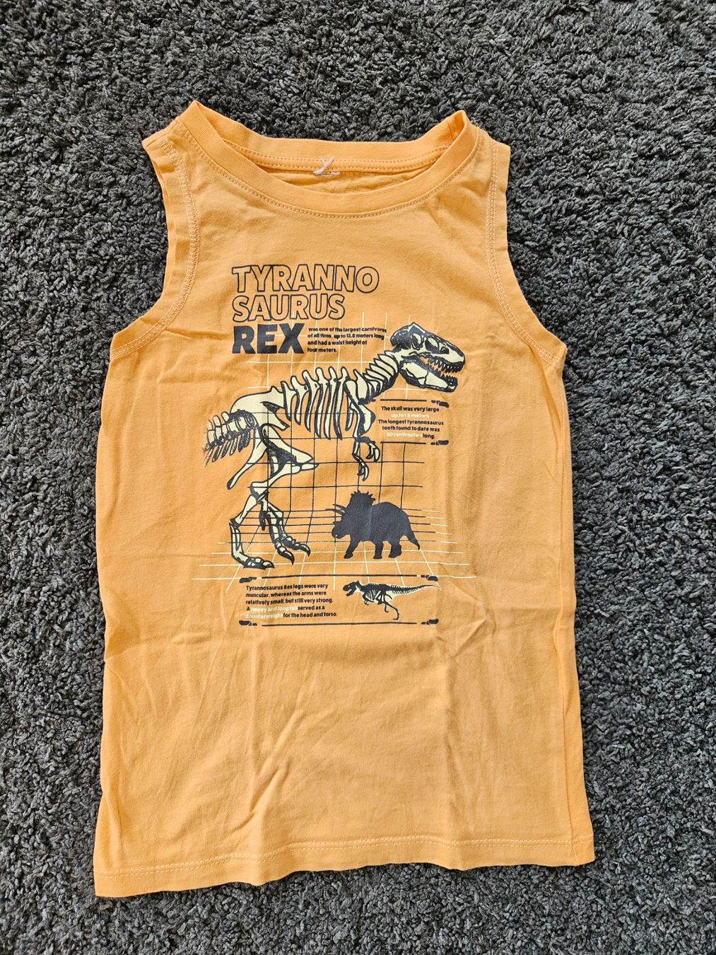 Camicie, T-shirt & Polo: Tanktop 122/128 – Usato da Marthalen venduto da Himbeersugus