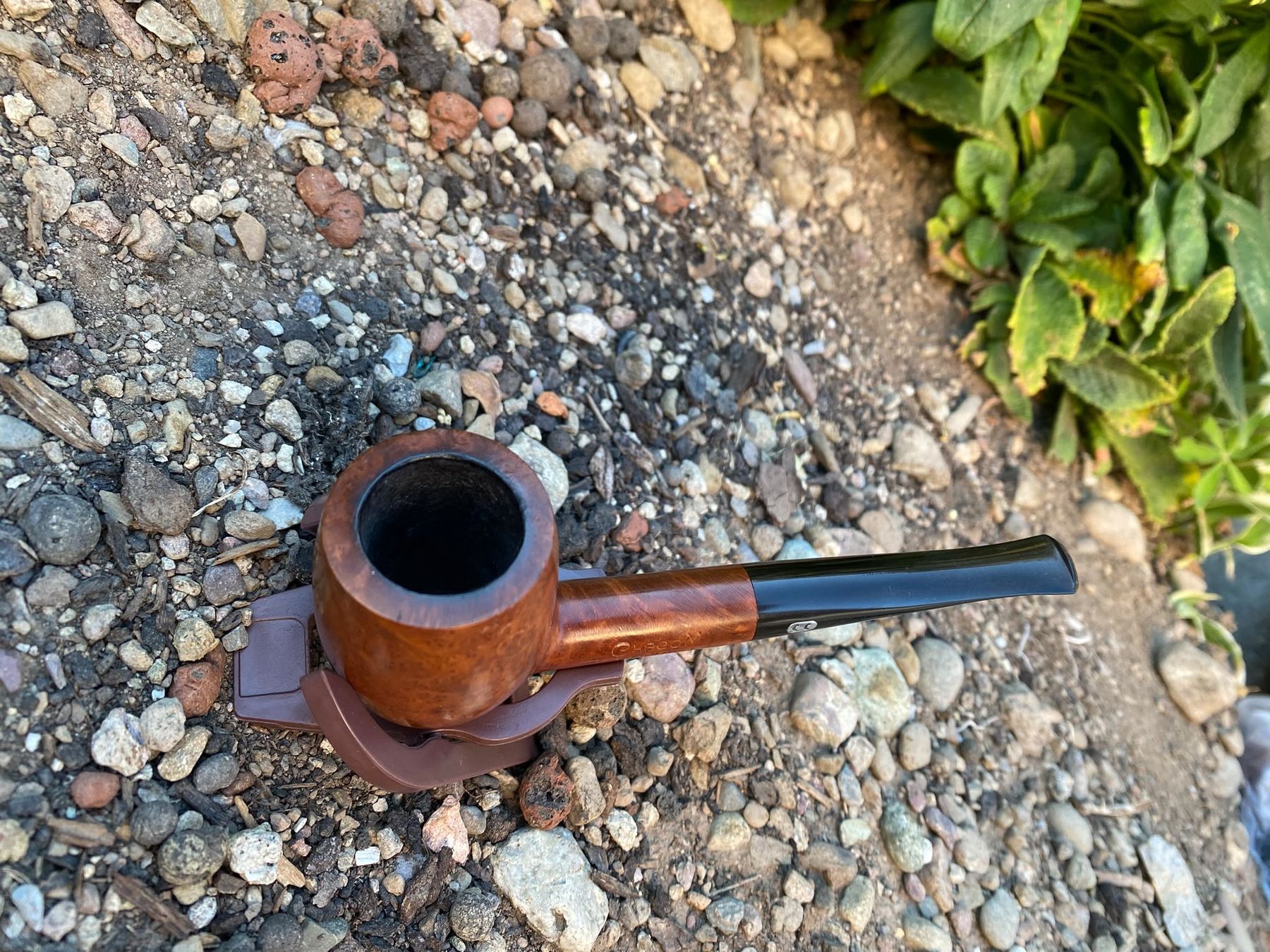 Pipes & Accessoires: Tabak Pfeife Chacom – D'occasion à Schänis par M.a.r.k.85 1