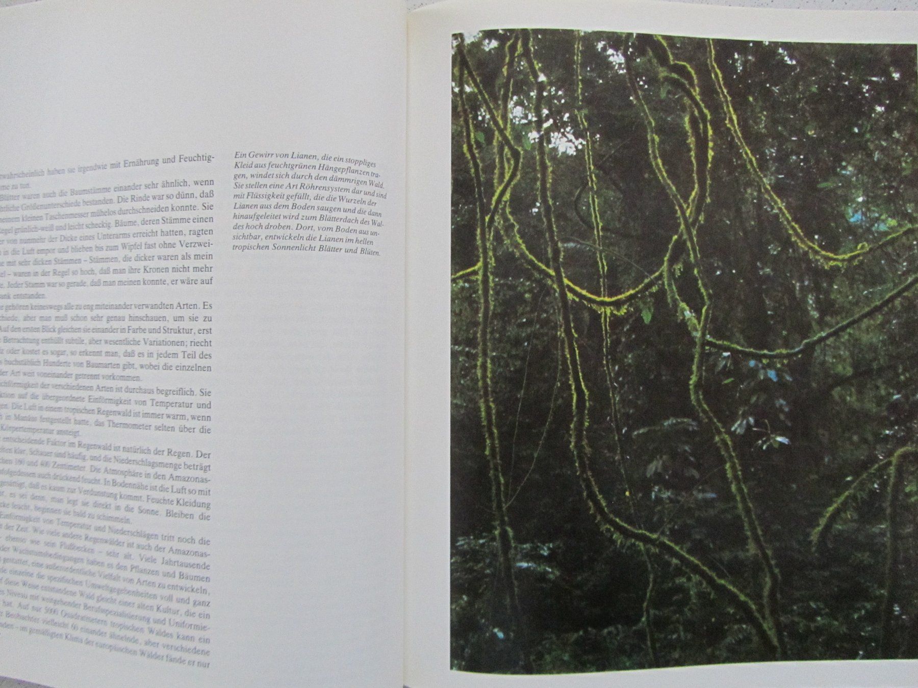 Bücher: Der Amazonas, ein Time-Life Buch – Gebraucht aus Weiningen ZH von dietsch57 4