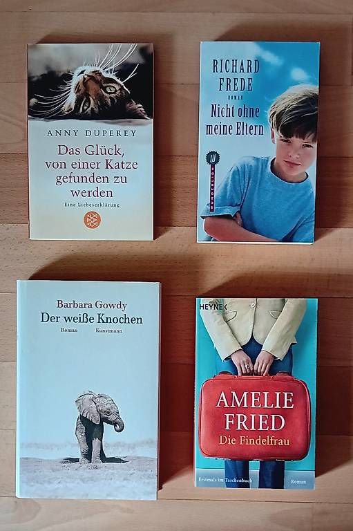 Libri: Verschiedene Romane Bücher – Usato da Stans venduto da wer_fd5f 4
