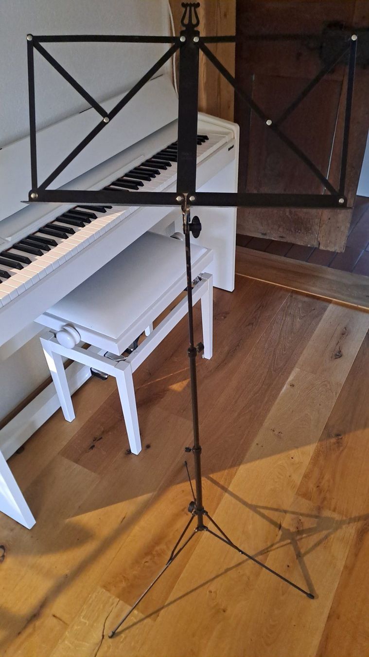 Supporti per strumenti musicali & leggii: Notenständer – Usato da Bertschikon Gossau venduto da Zueues