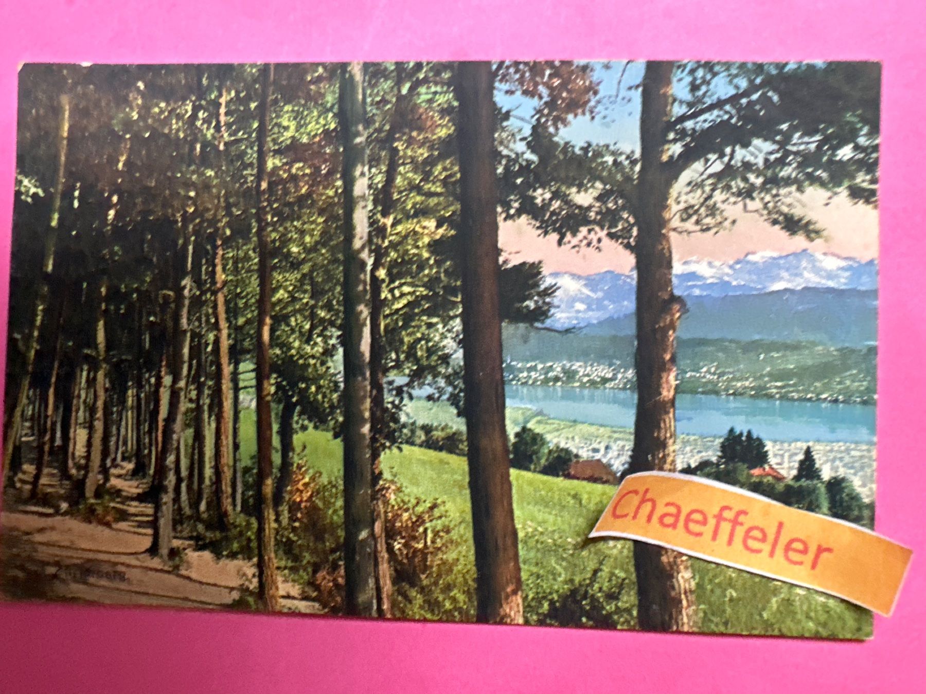 Cartes postales: 1920. 9898 Zürichberg – D'occasion à Zürich par Chaeffeler