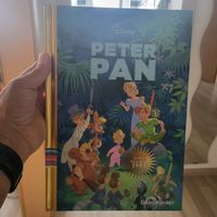 Peter Pan Disney Klassiker 1953 Gobo Kinder Buch