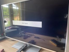 Fernseher