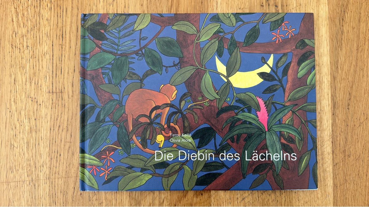 Livres: Die Diebin des Lächelns – D'occasion à Romanshorn par chr_gz66