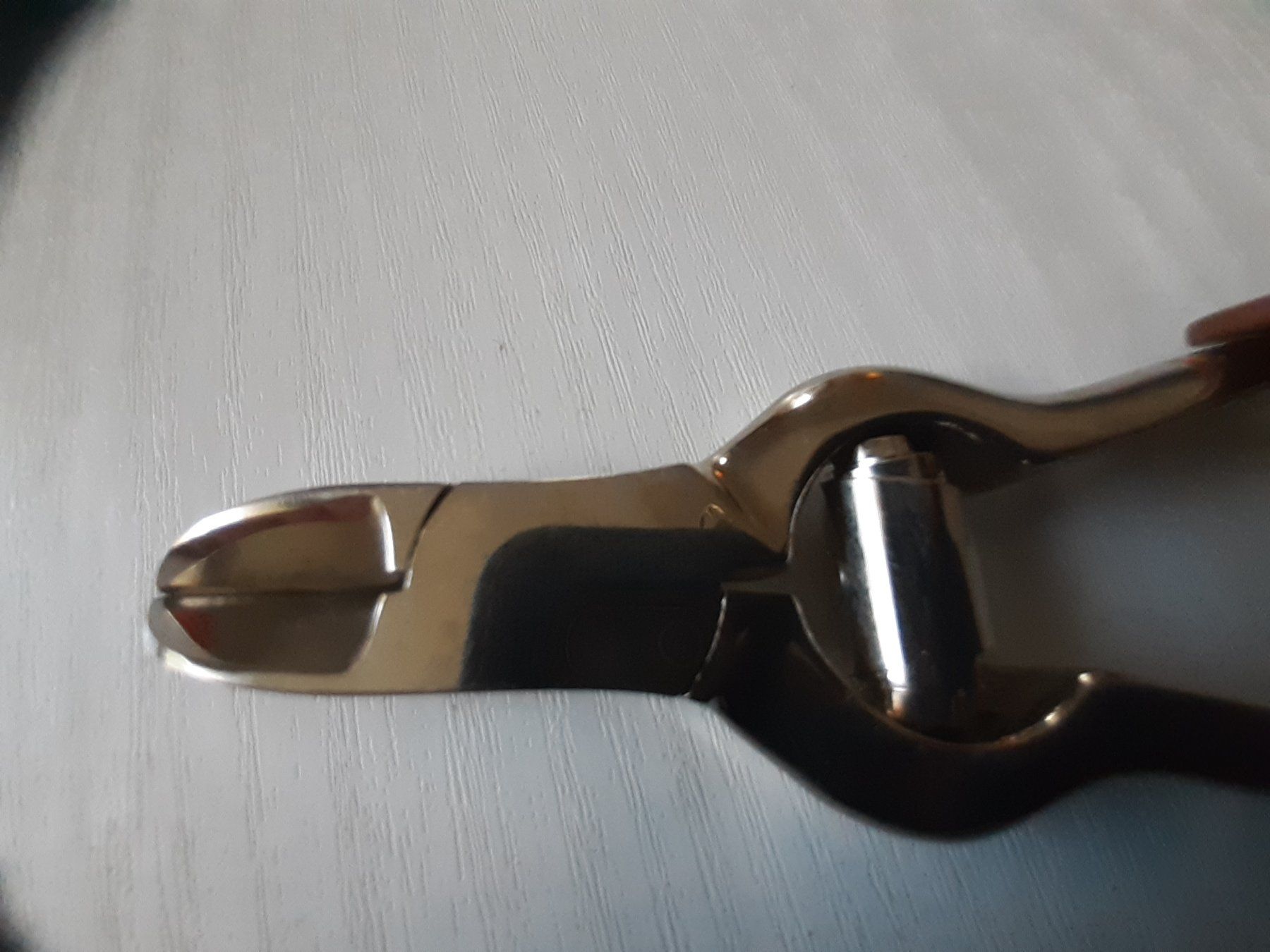 Pedicure: Pedicure -Fussnagelzange – Usato da Domat-Ems venduto da nugipuff 3