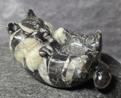 🐱🖤 Muscheljaspis Katzen-Kugelschale