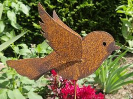 Stecker Vogel Rosteisen mit 2 Flügeln 60cm Vogel 19 x 29cm