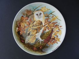 Wandteller * BARN OWL * Michael B. Sawdy - von Coalport