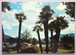 Locarno - Muralto (Lago Maggiore)