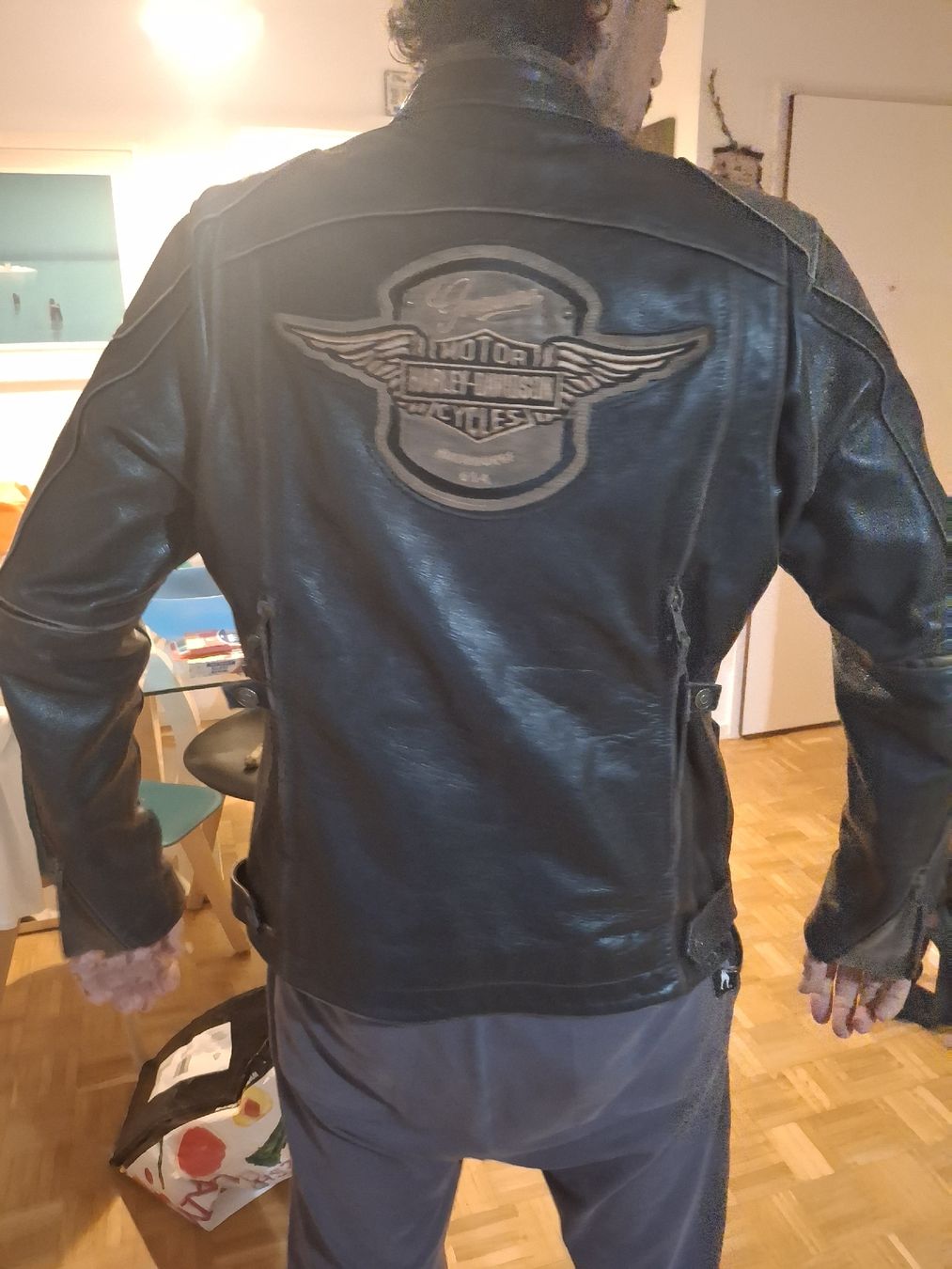 Harley-Davidson Jacken: Giacca pelle Harley Davidson Genuine – Gebraucht aus Agno von Olialby
