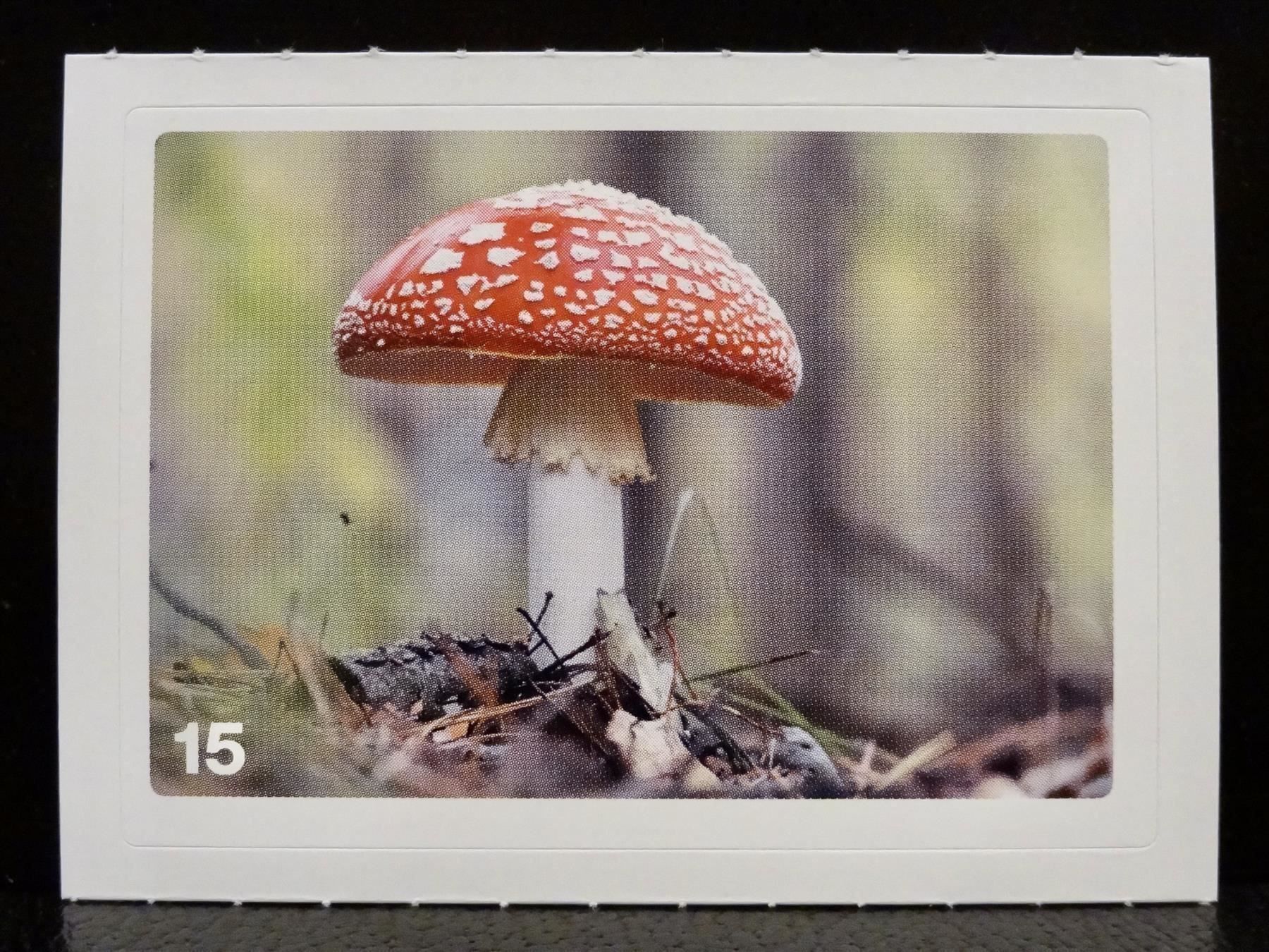 Migros Sammelbilder & Trading cards: MIGROS MANIA Nature Detectives Nr. 15 – Neu und originalverpackt aus Kerzers von zimmergruen