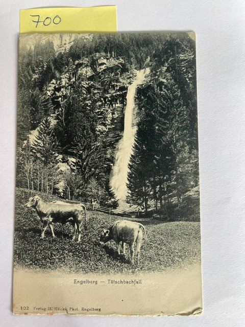 Cartoline postali: Alte Ansichtskarte Engelberg - Täschbachfall, 1908 – Usato da Niederwil AG venduto da dahu75