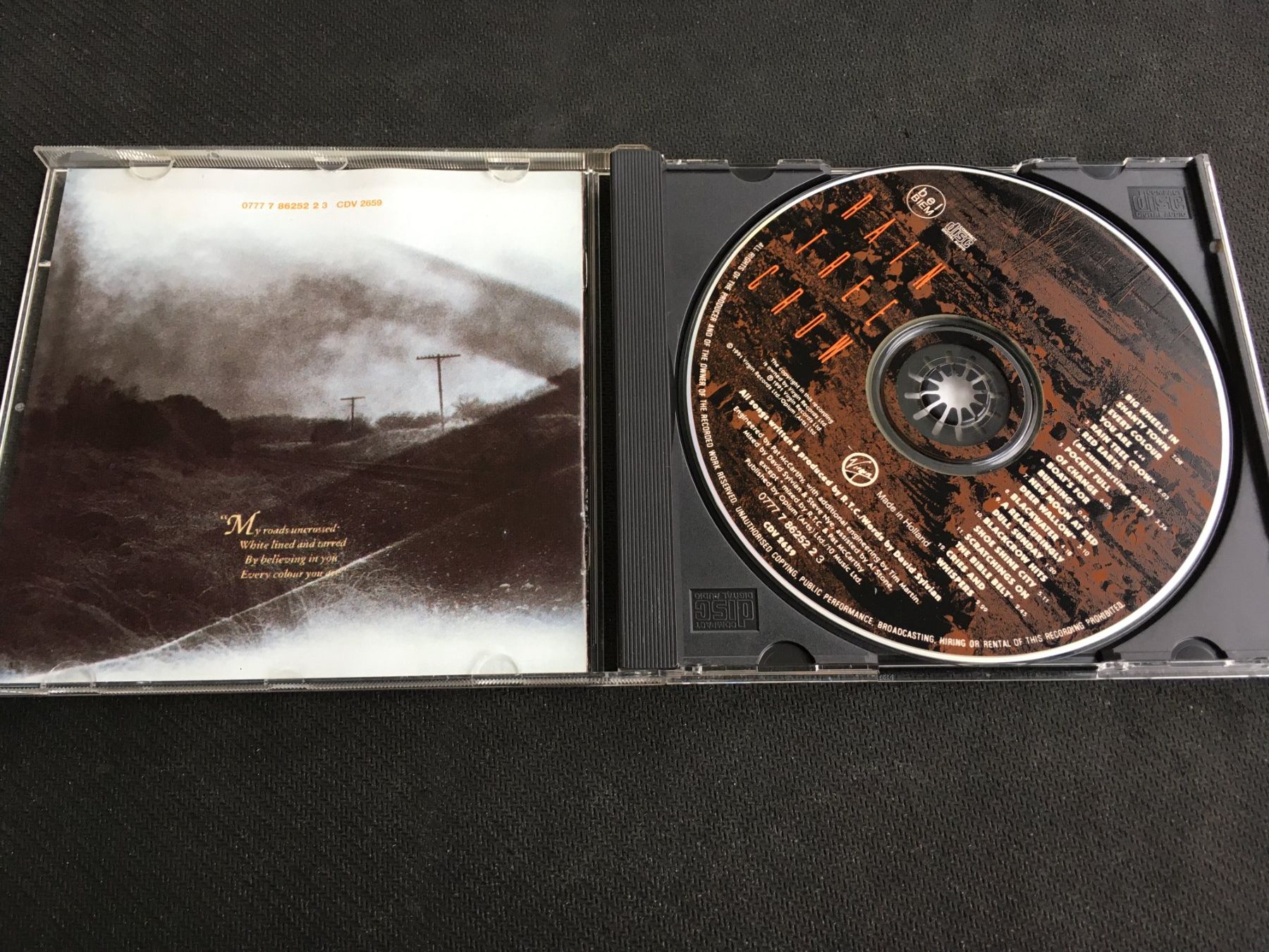 CDs: Rain Tree Crow -CD- – Gebraucht aus St.Gallen von MedienJoe 1
