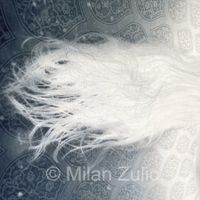 Milan Zulic - Last night I had a dream 006