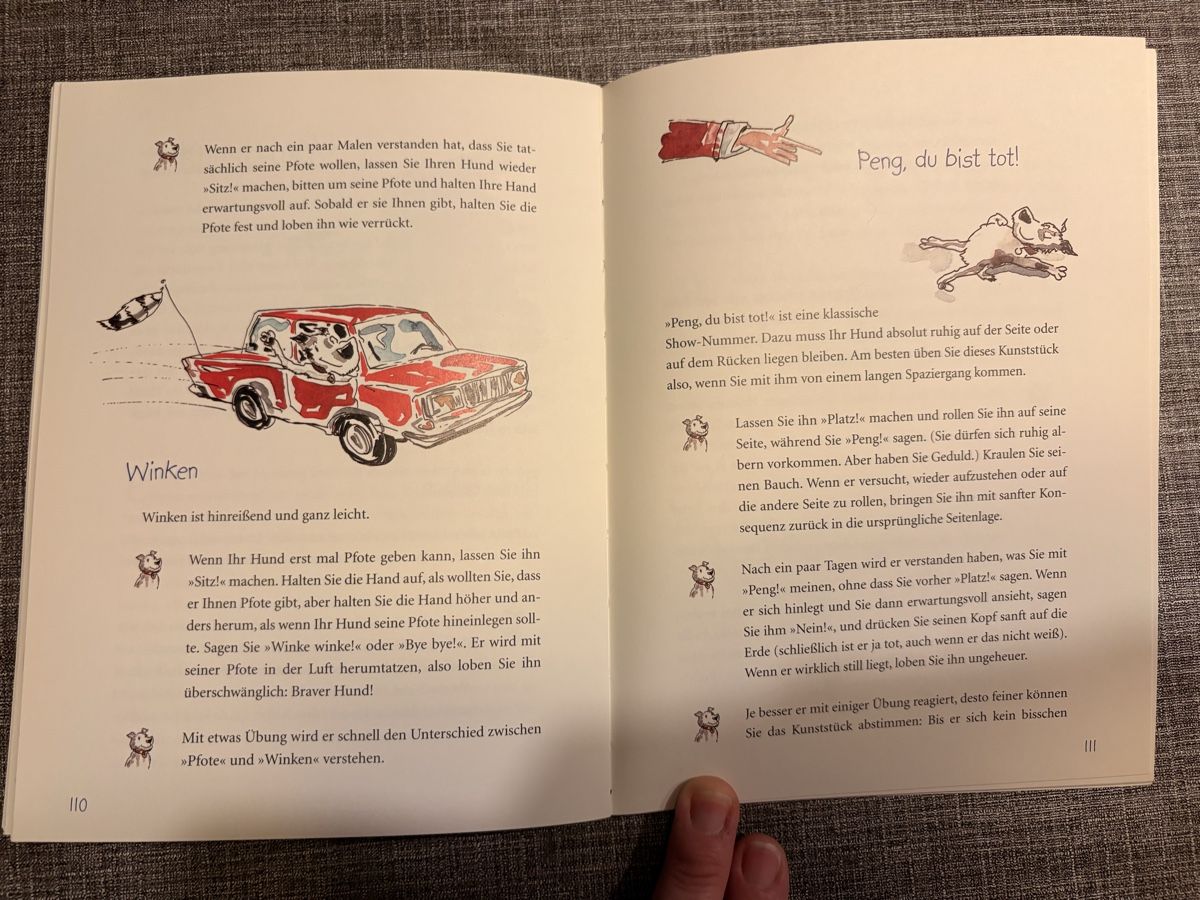 Libri: Kinderbuch, Hund, Lesenlernen, Kinder – Usato da Breitenbach venduto da Alice_xy 2