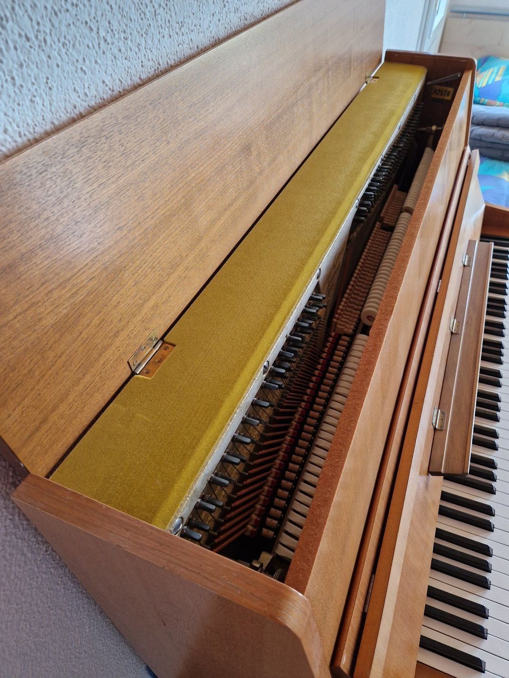 Burger & Jacobi Strumenti musicali: Burger & Jacobi Klavier Modell 115 – Usato da Sax venduto da fab_z6xb 2