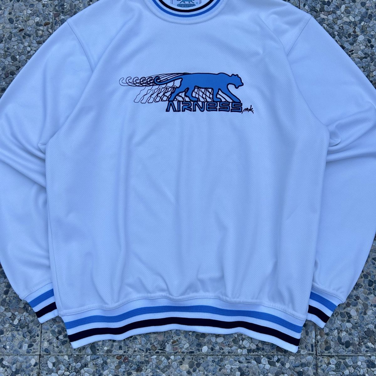Maglioni & Felpe: Vintage Airness embroidered sweatshirt – Usato da brent venduto da fukusapes 2