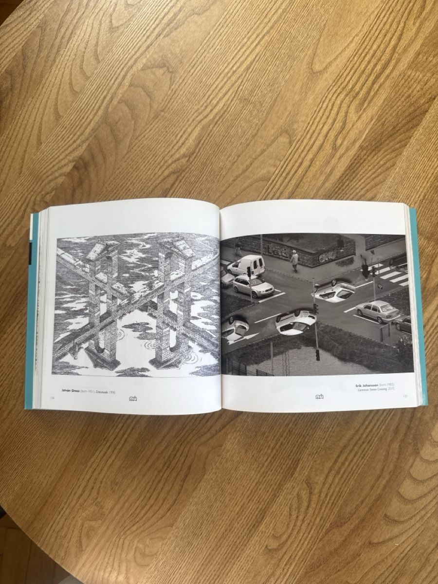 Libri: Buch Illusion Confusion Optical Deception Thames & Hudson – Nuovo (secondo la descrizione) da Zürich venduto da sasast 1