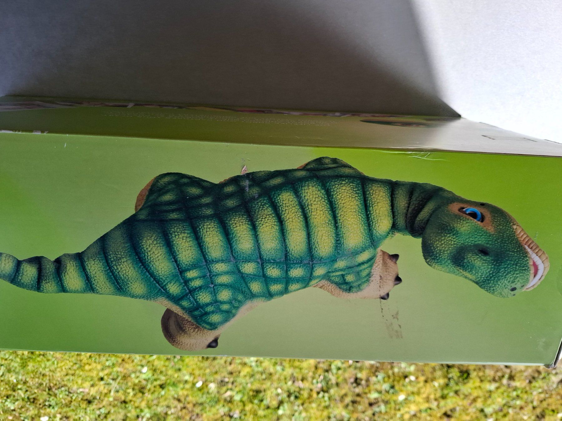Giocattoli: Pleo Sammlerobjekt Original 2007/2009 – Difettoso da Schlieren venduto da Alena020_0 4
