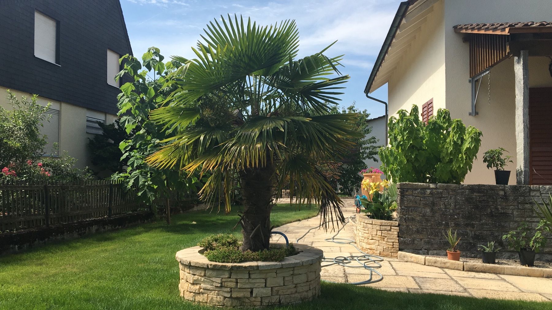 Pietre & tegole: Hadrien Armierungsstein (Bradstone) Mauerstein – Nuovo (secondo la descrizione) da Windisch venduto da Sumpfrose