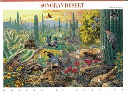 USA Sonora Desert 1 KB **