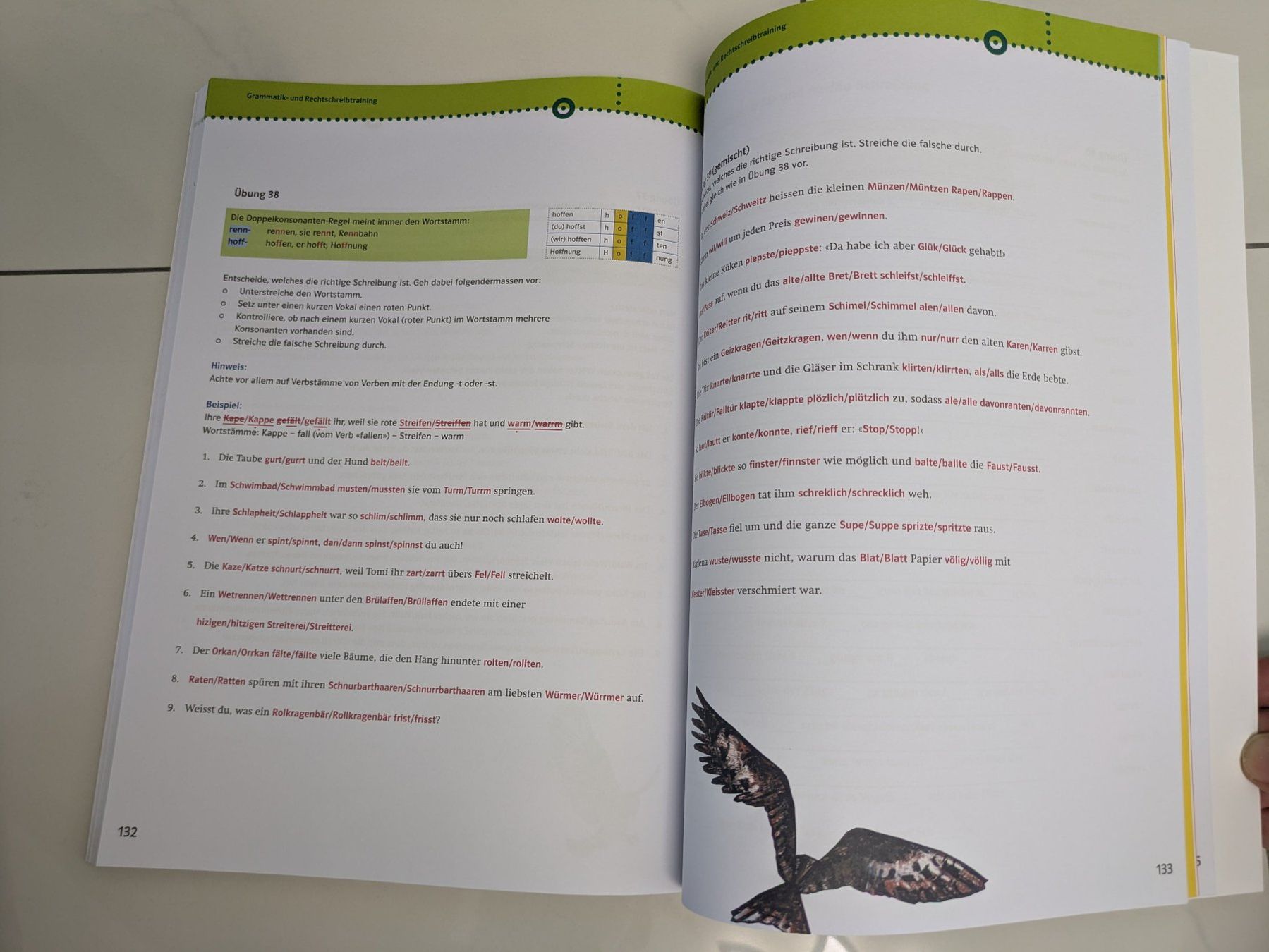 Livres: Die Sprachstarken 6, Arbeitsheft, Deutsch Primarschule – D'occasion à Uznach par binmaley 7
