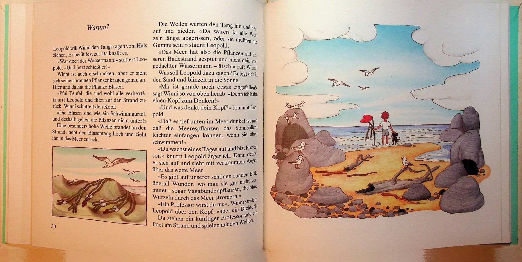 Libri: Inge Feustel  Leopold unf Winnie am Meer – Usato da Reitnau venduto da Zaomir 7