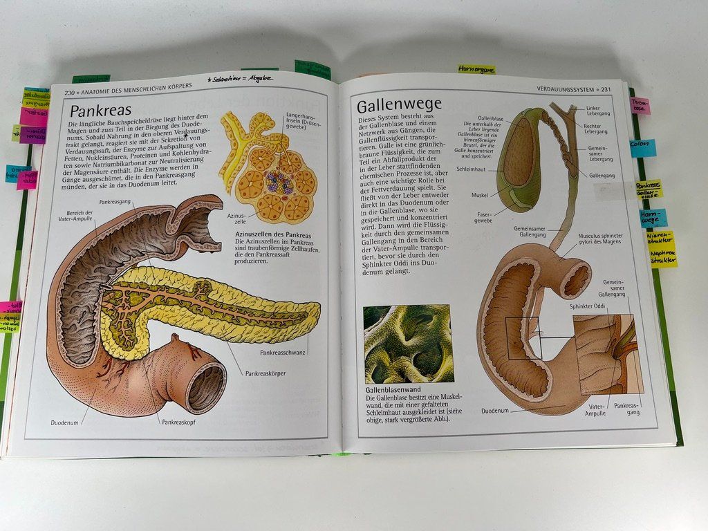 Libri: Dr. Tony Smith - Anatomieatlas – Difettoso da Häusernmoos venduto da Eselsohren 5