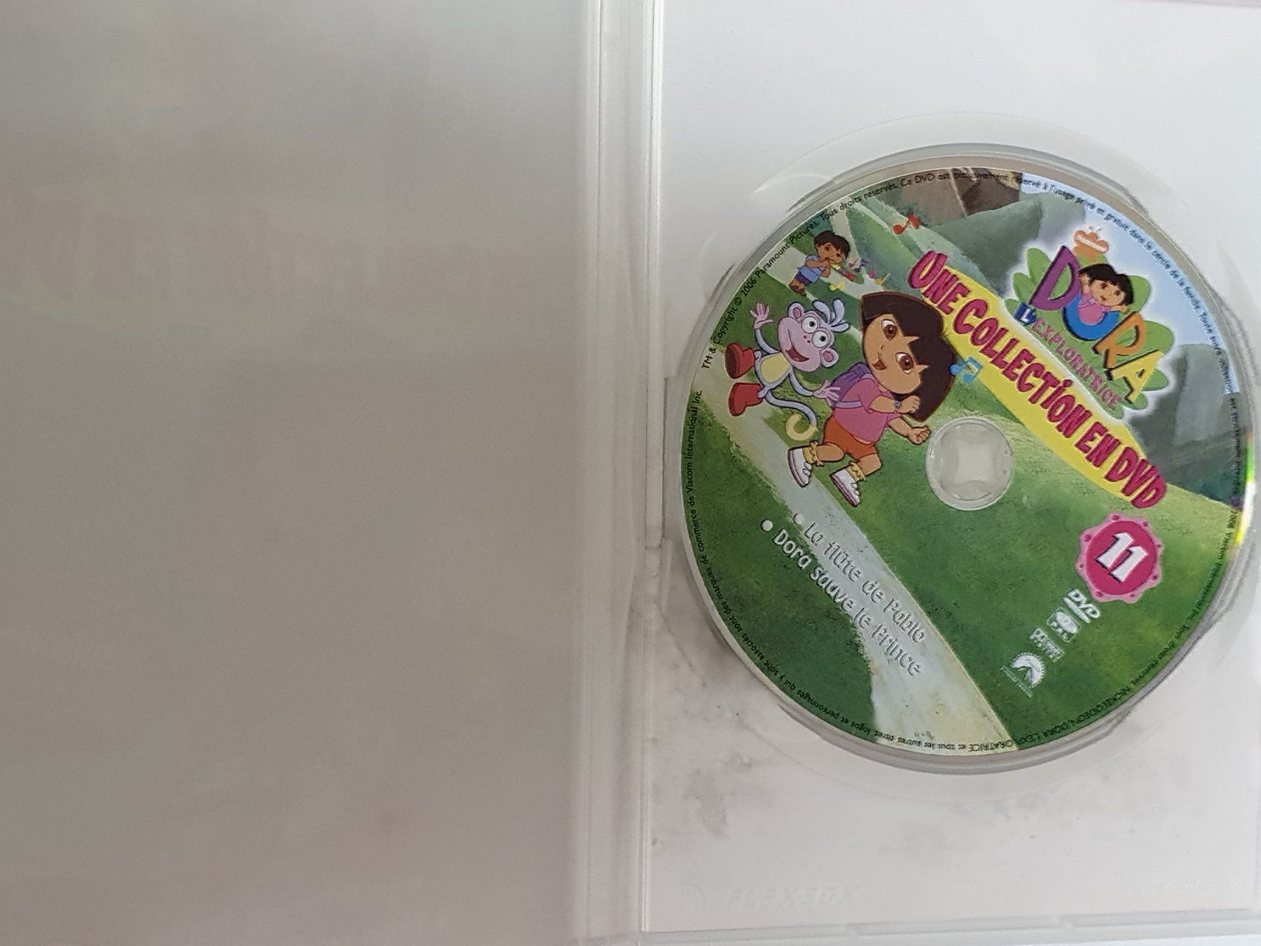 Alle DVDs: Dora l'exploratrice une collection DVD – Gebraucht aus Oberdorf BL von BaldenEagle 1
