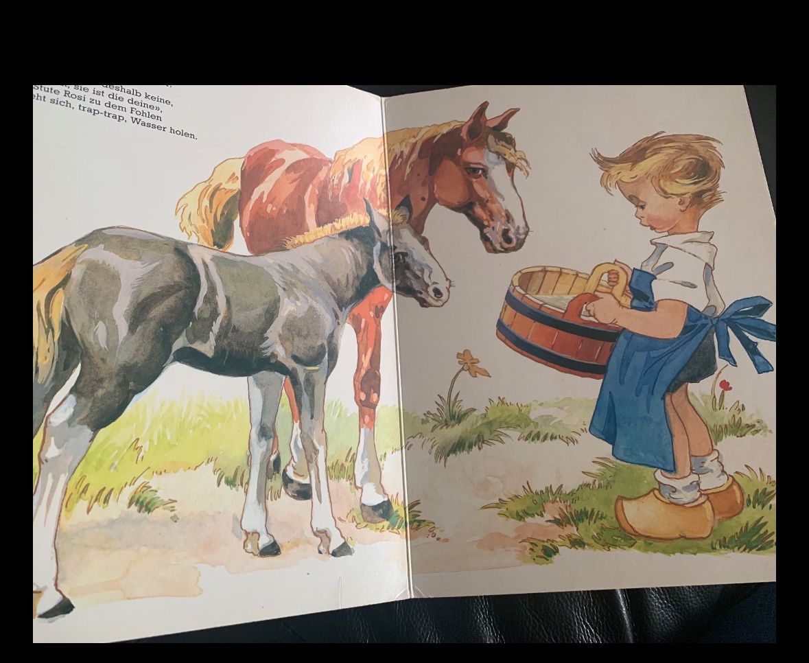 Libri: Altes Kinderbuch / Bilderbuch Unsere Lieblinge – Usato da Beromünster venduto da msklef 1