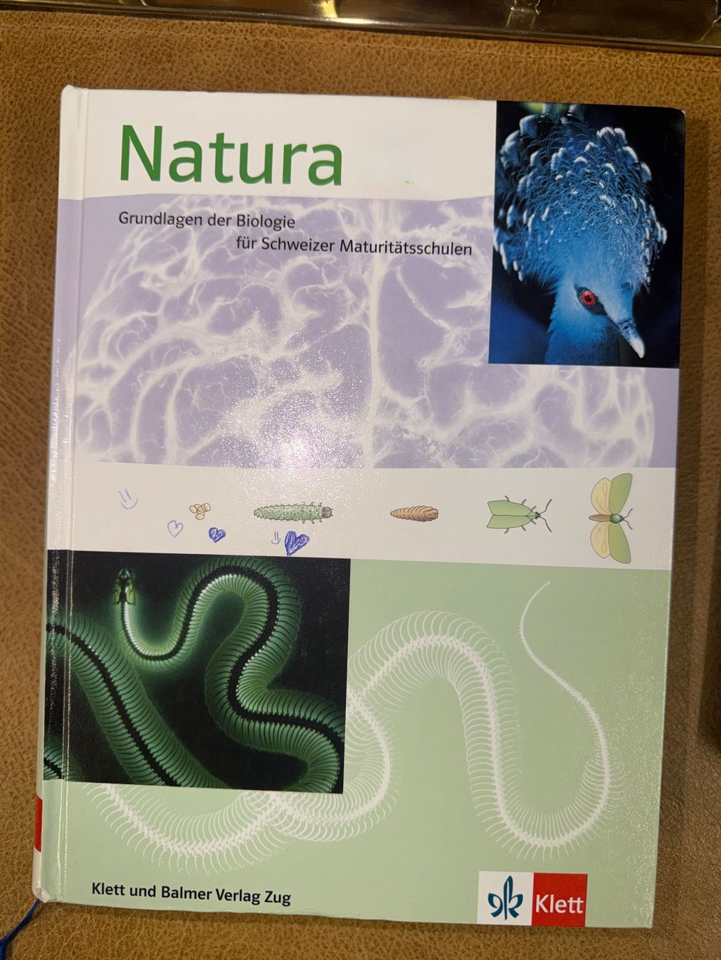 Bücher: Gymnasiale Lehrbücher – Neu (gemäss Beschreibung) aus Hinwil von zu_zuli 3