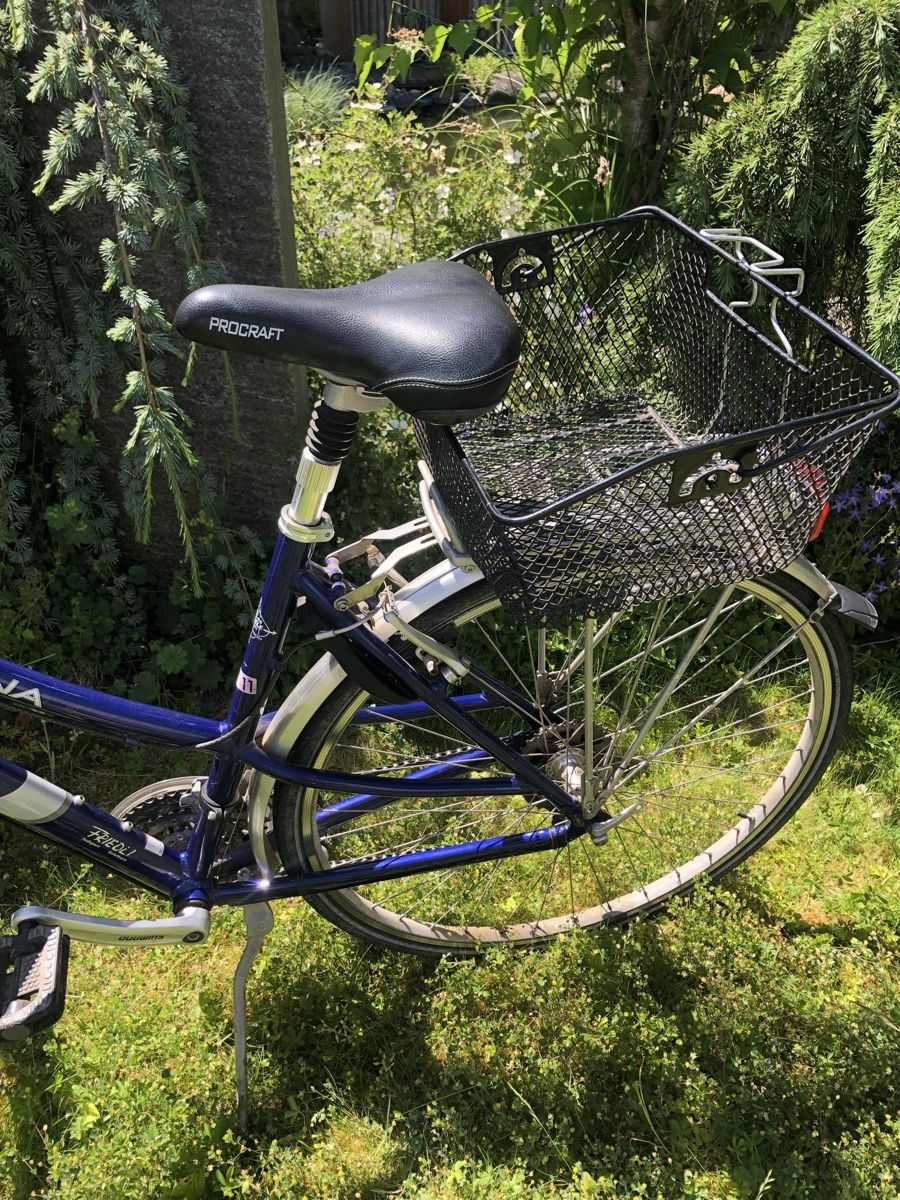 Biciclette: Damenvelo CENTURION – Usato da Bolken venduto da Spinnwebereien 4