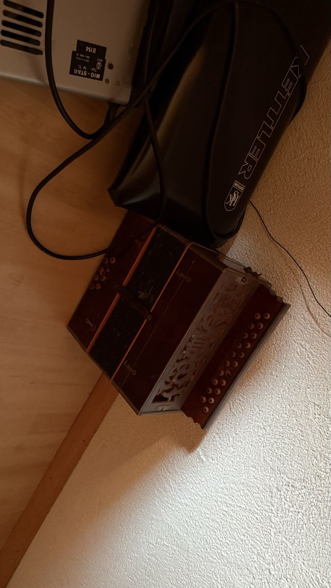 Strumenti musicali: Antike Handharmonika Schwyzerörgeli Akkordeon Vintage – Usato da Basel venduto da dafal4059 1