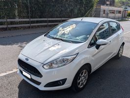 Ford Fiesta 1.0 EcoB; top gepflegt, klein, spritzig, günstig