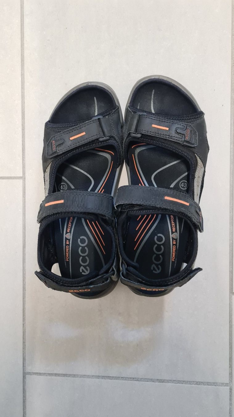 Ecco Scarpe per ragazzi: Ecco Sandalen – Usato da Hausen am Albis venduto da Dorinan