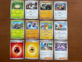 Pokemon 12er Karten Set (Versand gratis)