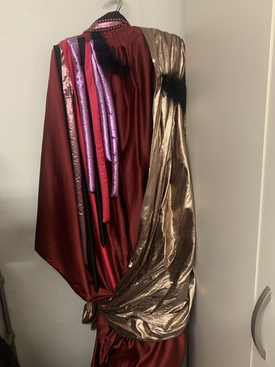 Costumi: Faschings Kostüm/Strassenkleid Gr. M – Usato da Waltenschwil venduto da pipapo71 2