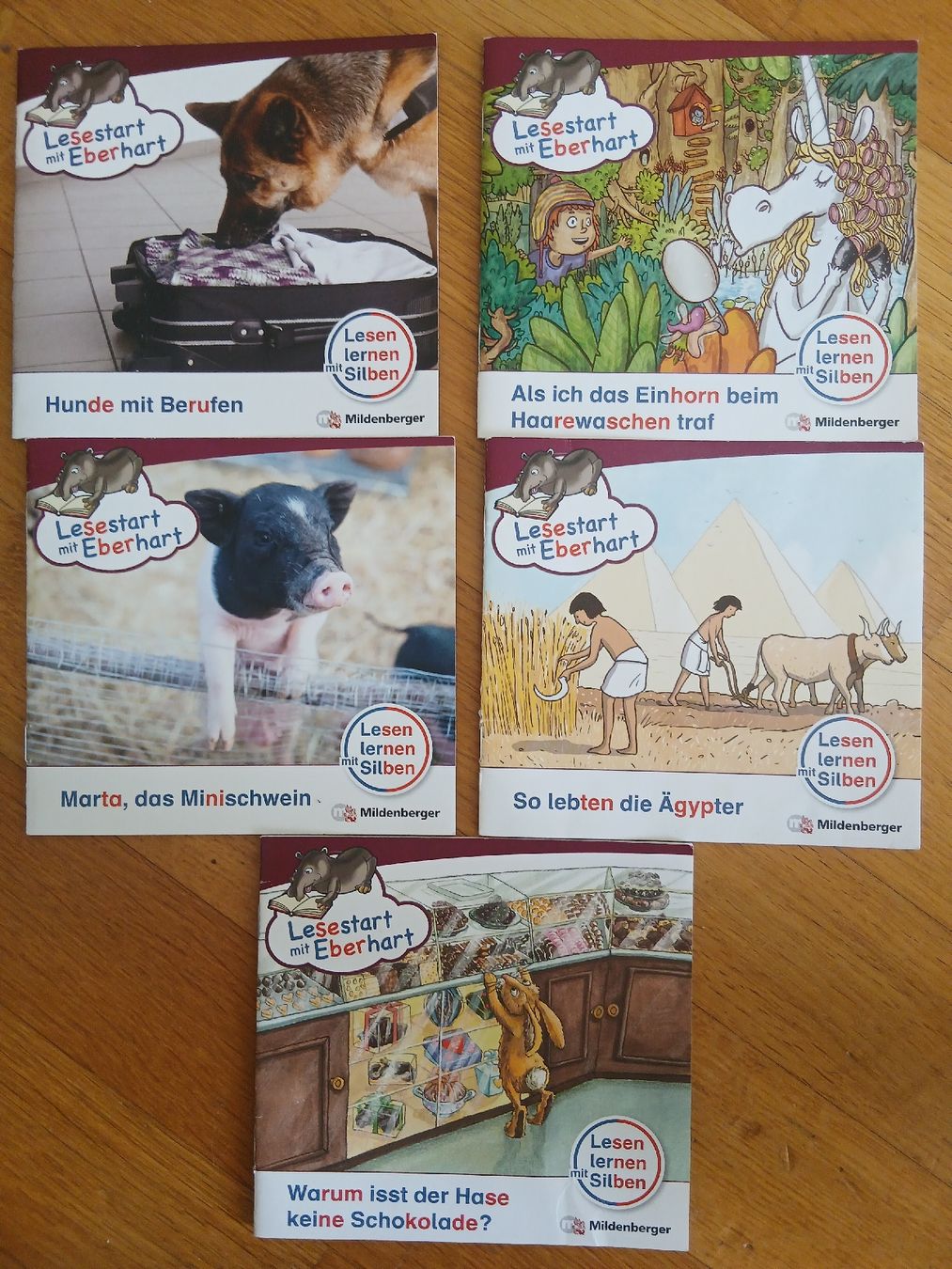 Libri: Lesestart mit Eberhardt 5 Stück – Usato da Bischofszell venduto da Mama_x