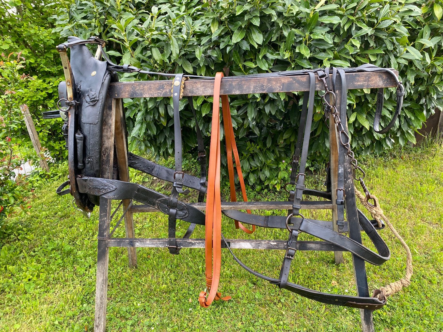 Carrozze: schönes Bündnergeschirr – Usato da Feldbach venduto da Fea1 4