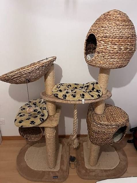 Arbres à chats: Kratzbaum   – D'occasion à Gossau Sg par olles 2
